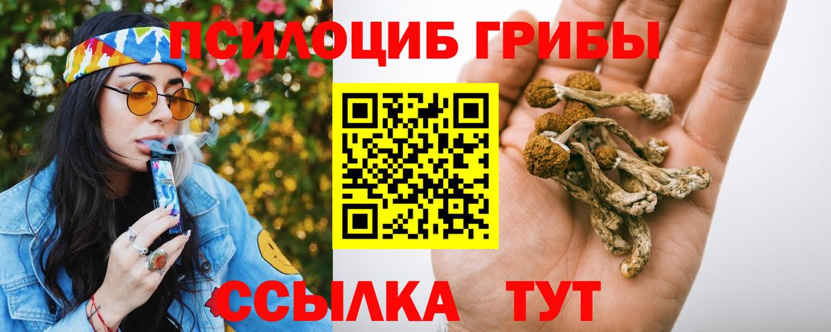 Великий Устюг  Галлюциногенные грибы мицелий  Вход с VPN 