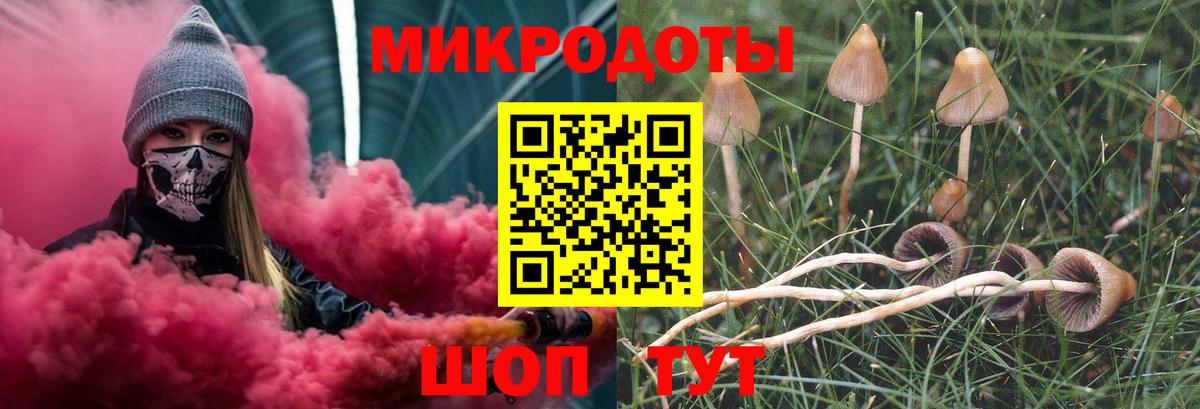Псилоцибиновые грибы ЛСД Великий Устюг